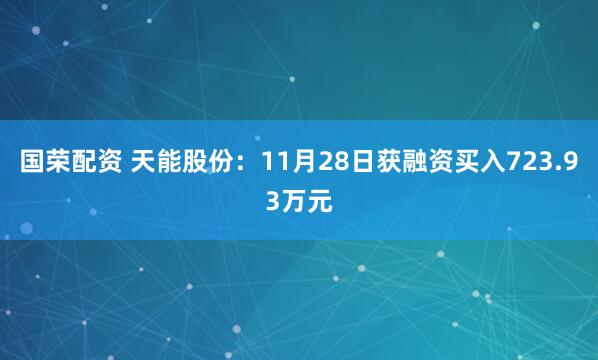 国荣配资 天能股份：11月28日获融资买入723.93万元