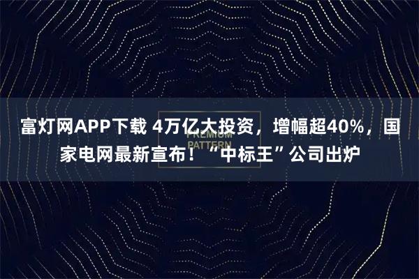 富灯网APP下载 4万亿大投资，增幅超40%，国家电网最新宣布！“中标王”公司出炉