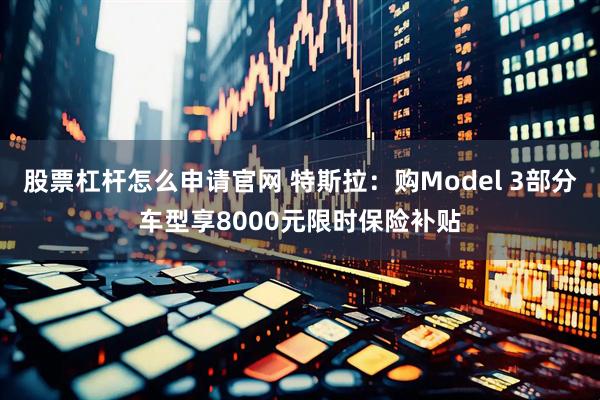 股票杠杆怎么申请官网 特斯拉：购Model 3部分车型享8000元限时保险补贴