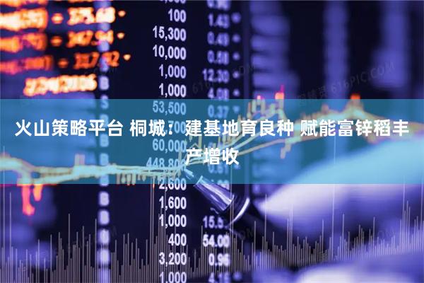 火山策略平台 桐城：建基地育良种 赋能富锌稻丰产增收