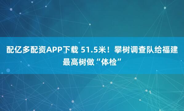 配亿多配资APP下载 51.5米！攀树调查队给福建最高树做“体检”
